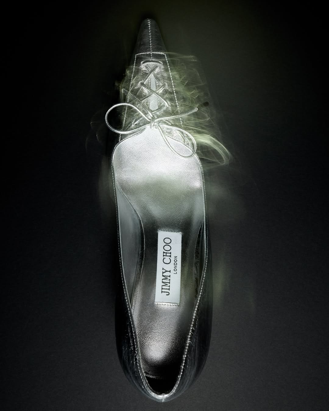 Image from JIMMY CHOO / Winter 2024 Campaign 7