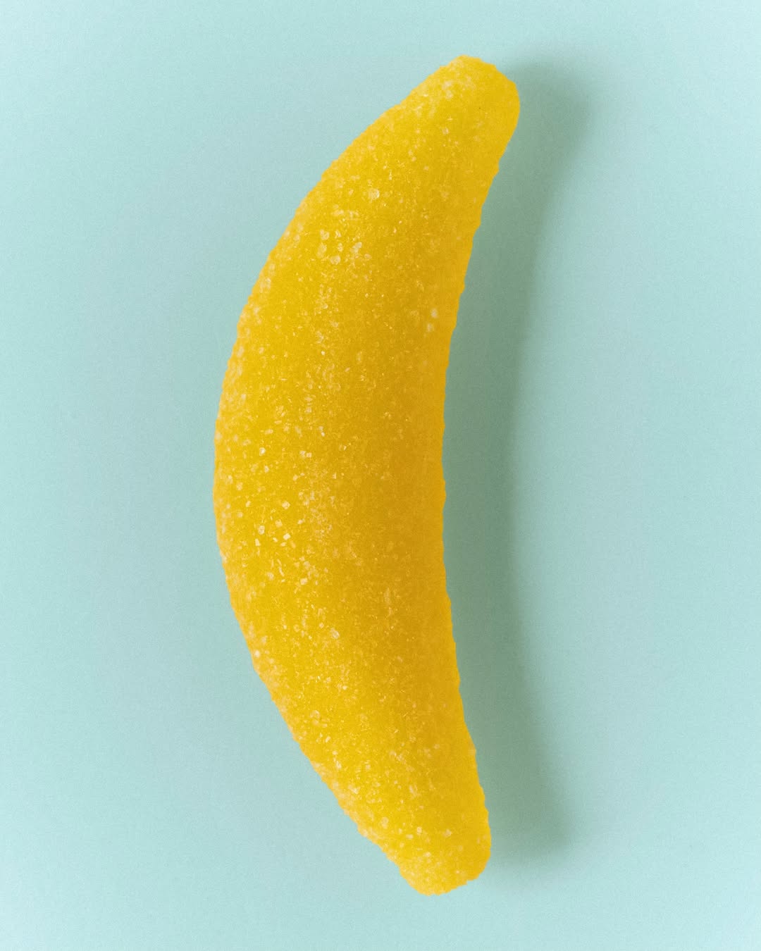 Image from Prada / Banana S25 4