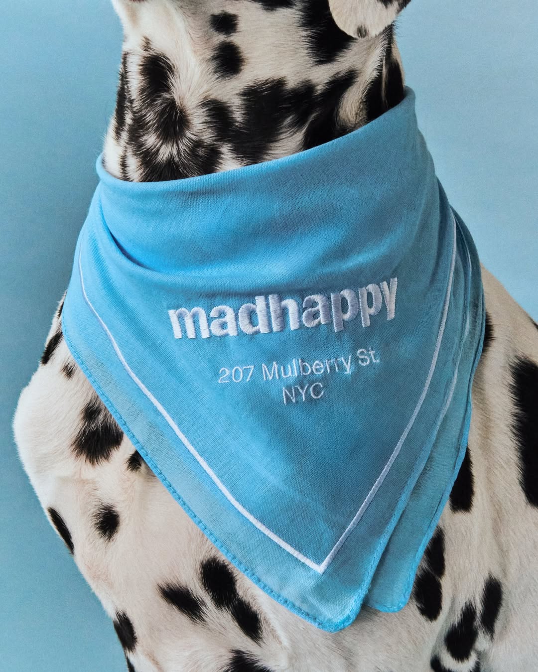 Image from Madhappy / New york, opening 2