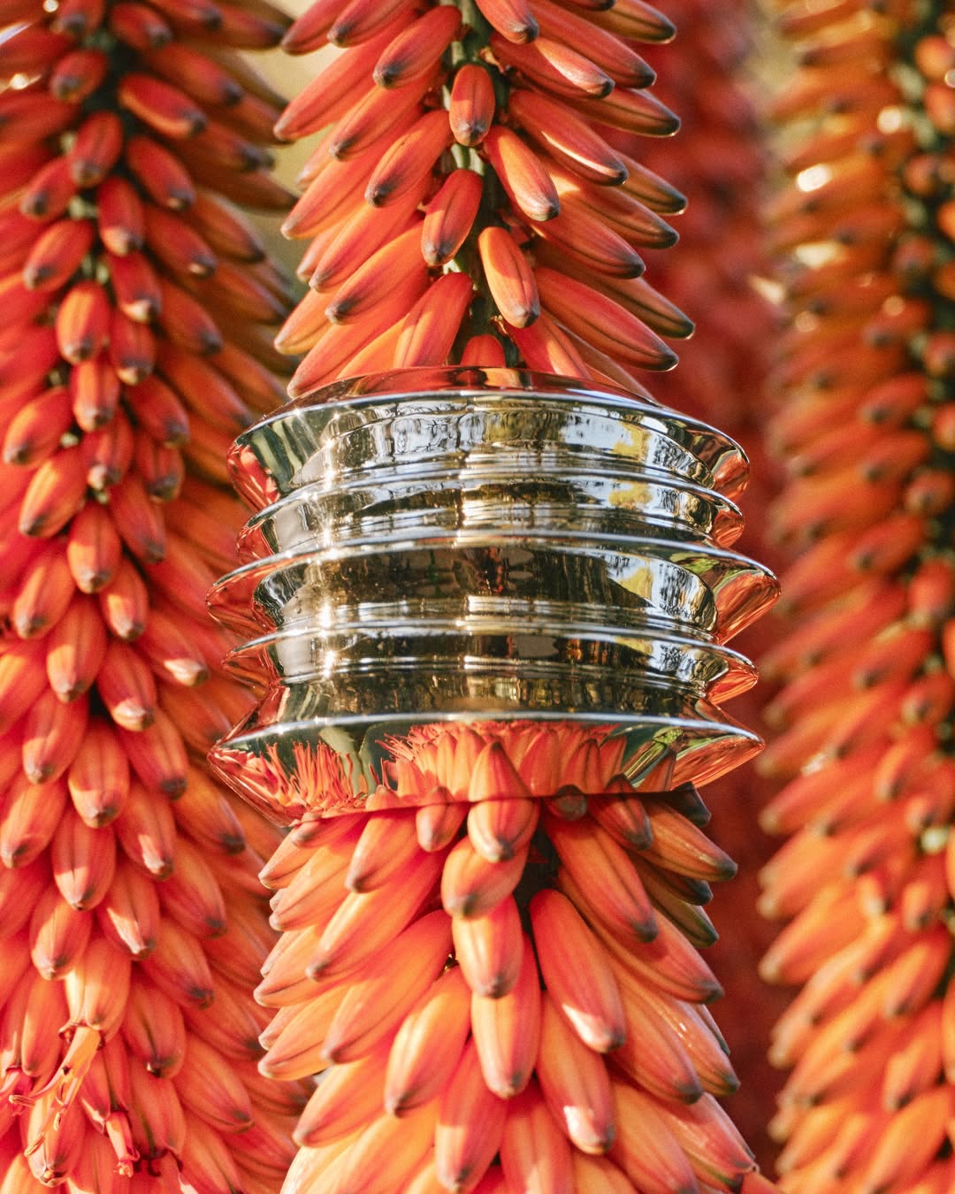 Image from Ounass / Still life 6