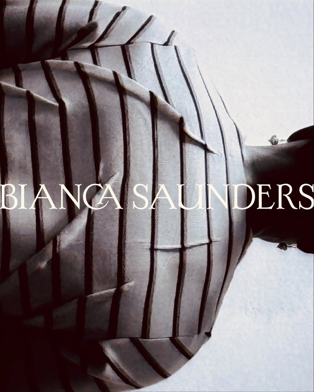Image from BIANCA SAUNDERS / Dichotomy 6