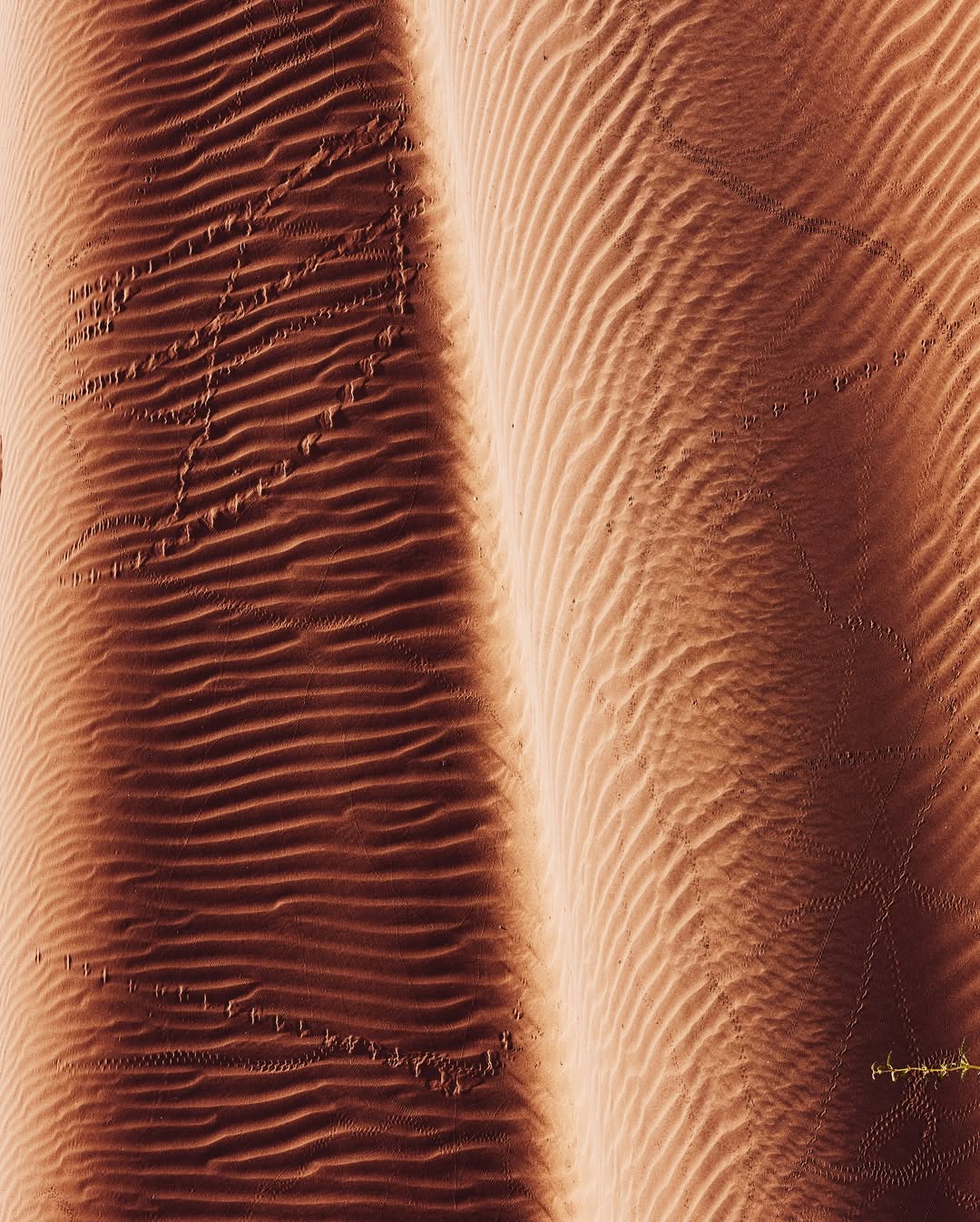 Image from Messika / Collection « Terres d’instinct »  8