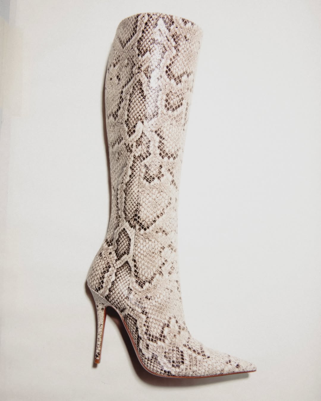 Image from Amina Muaddi / S2425 6