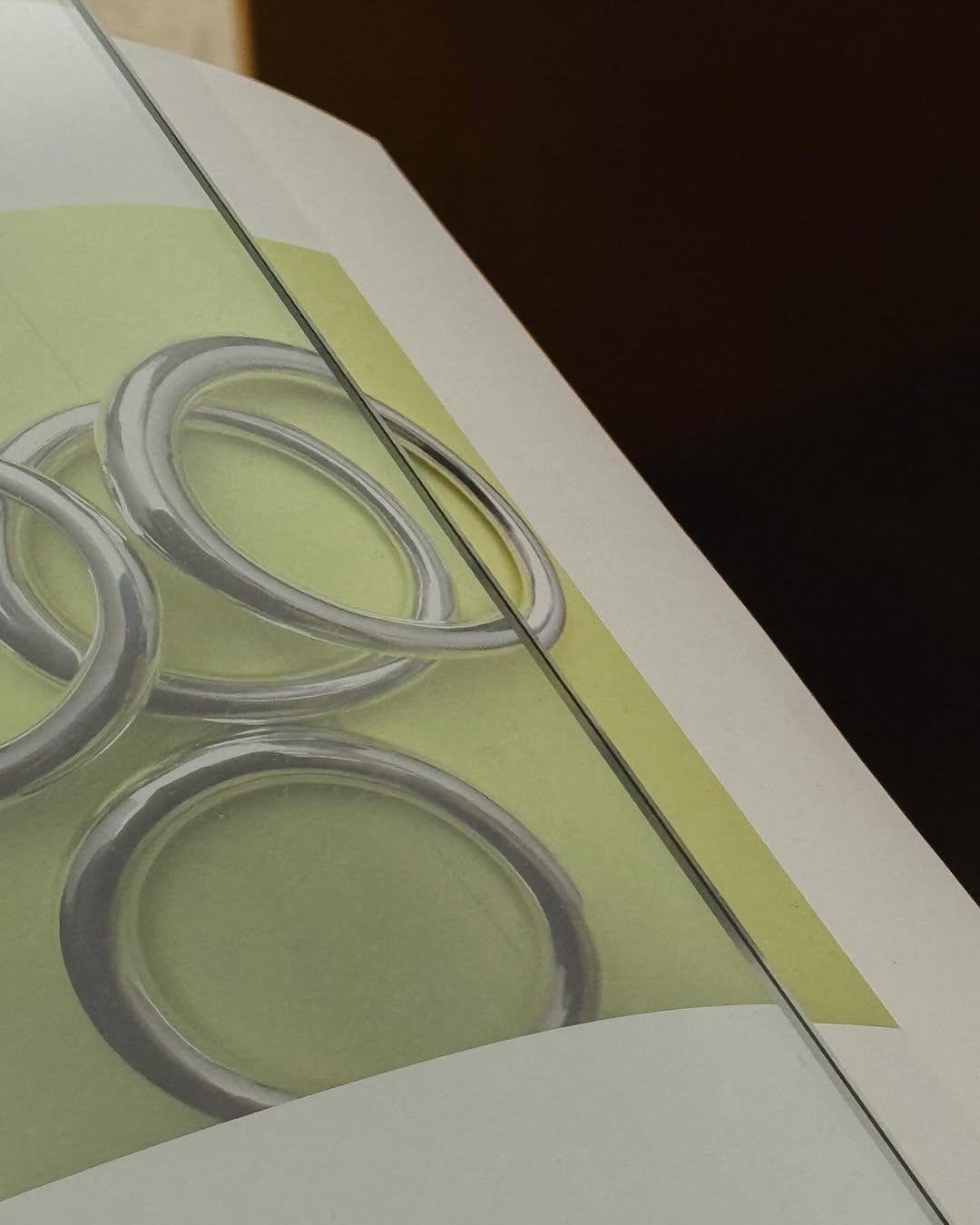 Image from CAMILLE SURAULT / Image et videos 3