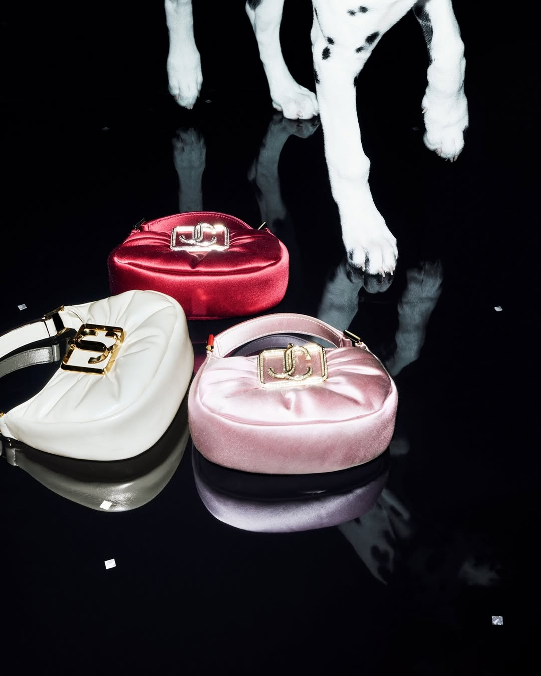 Image from JIMMY CHOO / Winter 2024 Campaign 11