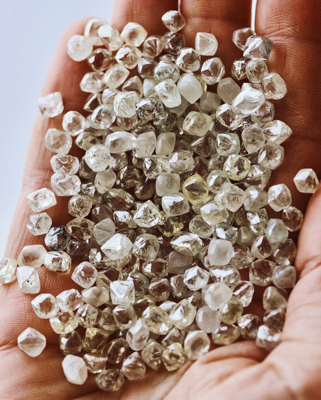 Image from Messika / Collection « Terres d’instinct »  13