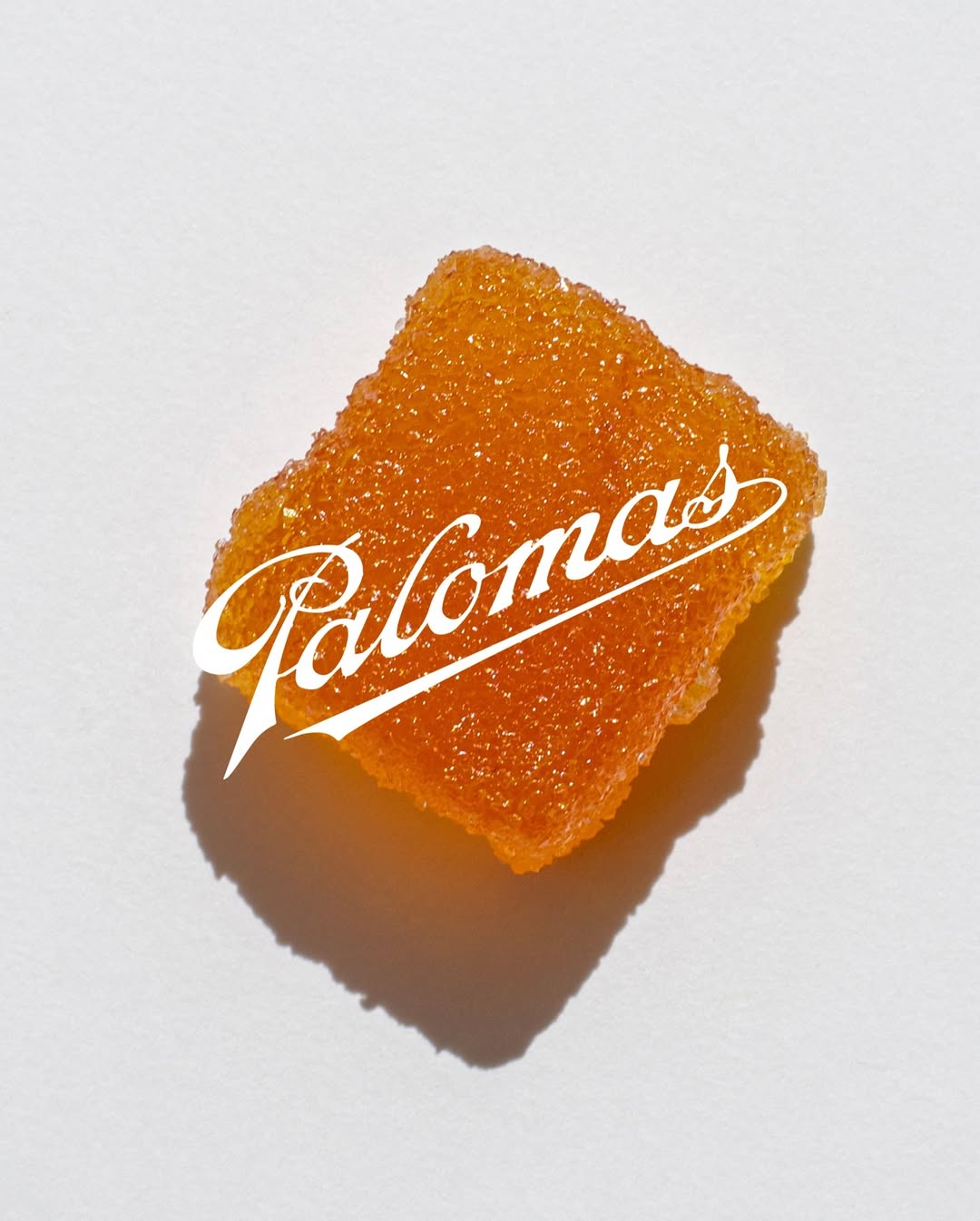 Image from Palomas / Images 4